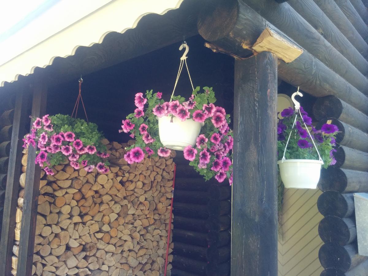 منزل الضيف Otepää  في Safari House المظهر الخارجي الصورة